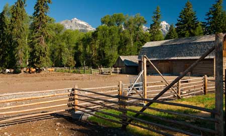 Barn